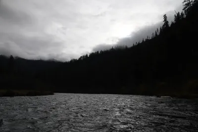 DSC_0179 (Large).JPG